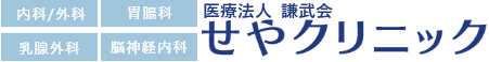 内科/外科 胃腸科 乳腺外科 脳神経外科 Seya Clinic せやクリニック
