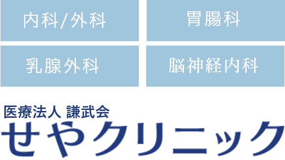 内科/外科 胃腸科 乳腺外科 脳神経外科 Seya Clinic せやクリニック